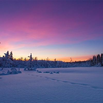 乐鱼官网手机app下载