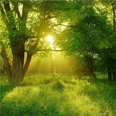 开元集团游戏网站app