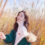 k8凯发国际官网入口